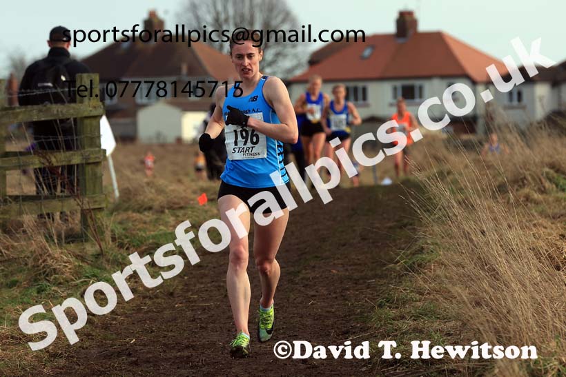 Senior Womens 2024 Northern Cross Country Champs., Sedgefield. Photo: David T. Hewitson/Sports for All Pics